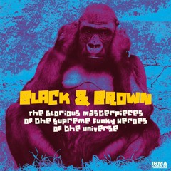 Black & Brown - Ibrahim (Sam Ruffillo Remix) - 2020
