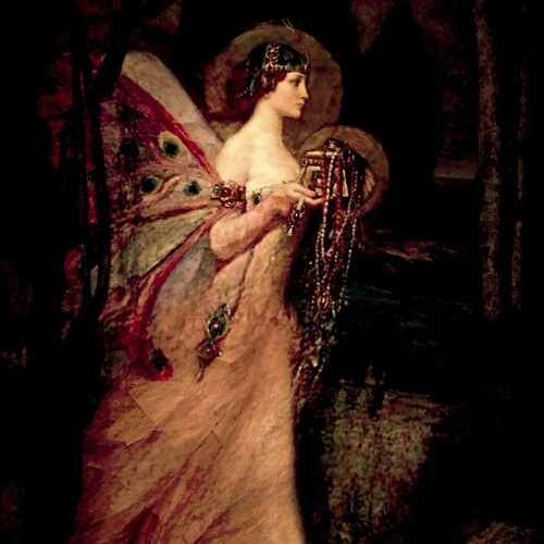 Flying Through The Enchanted Forest