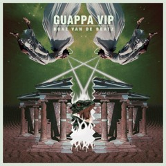 Mr. Polska & Boaz van de Beatz ft. Riff Raff - Guappa (VIP)