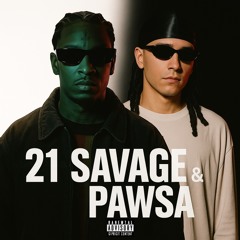 21 Savage Pawsa Solid Grooves