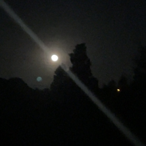 shteppi - the moon song. (voice memo cover)