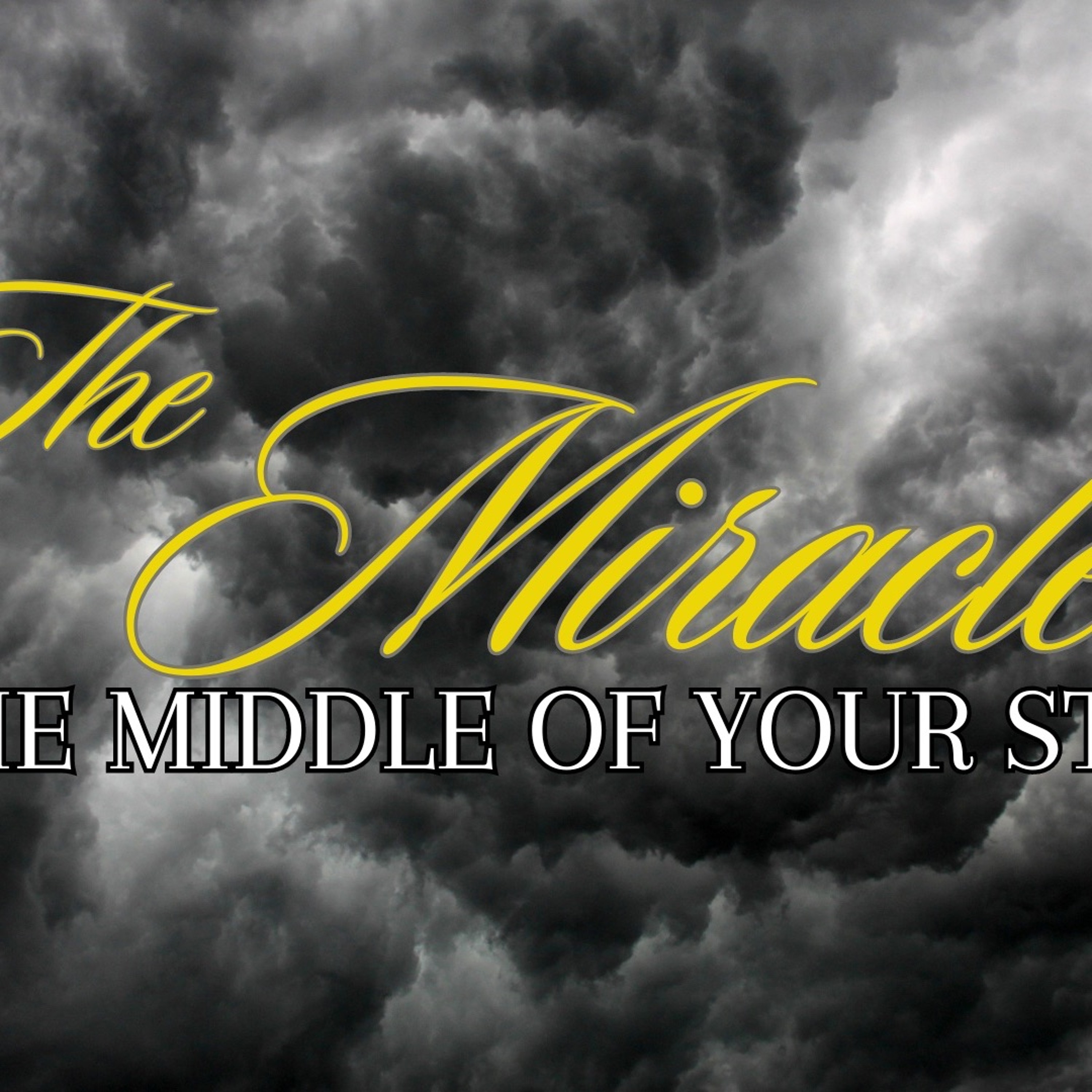 Pastor Eric J Carlson - Miracle in the Middle of the Storm