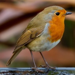 Spiritual jazz vynil session