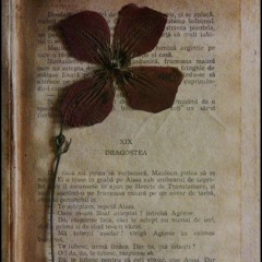 Pressed Flowers (Demo)
