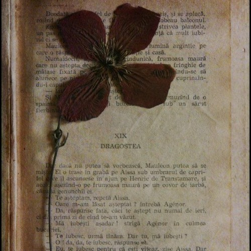 Pressed Flowers (Demo)