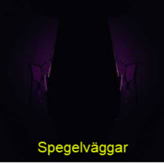 Spegelväggar