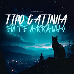 TIPO GATINHA EU TE ARRANHO