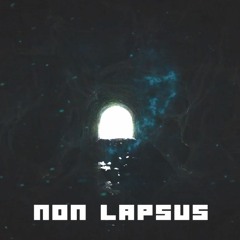 Verbokulto - Non Lapsus