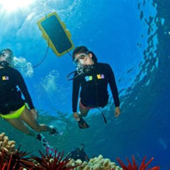 Best Alii Nui Molokini Deluxe Snorkel Prices Reviews