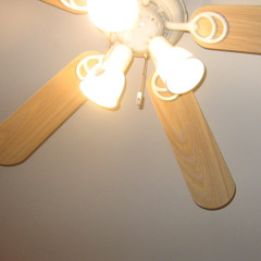 old home elegy