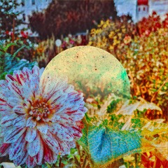 Peanut Butter Pie (Demo)