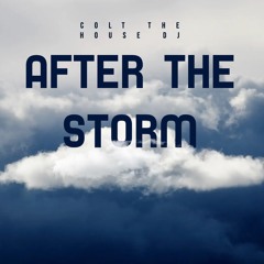 Colt The House DJ - After The Storm