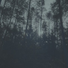 Echoes in the Fog - Cinematic I Ambient Music