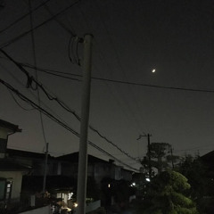 취중고백 🌙