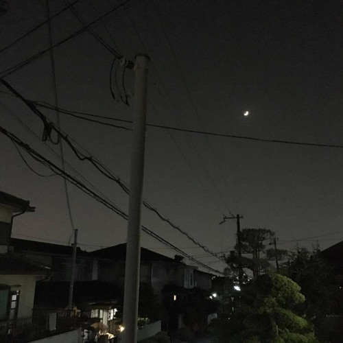 취중고백 🌙