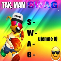 Kagnurek Kao Wiksowanie [DJ MOKRONG VIP]