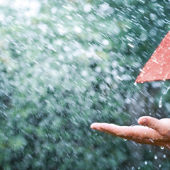 The Ultimate Rain - GucciGone