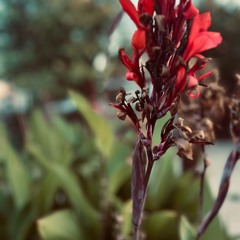 [FEEL] by Prod.Four.Cash