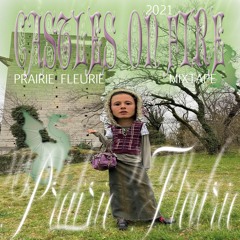 Endless Bazaar Mixtape 002: Prairie Fleurie