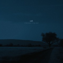 cxlt. - all i feel is an empty void