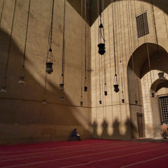 وقالوا لجلودهم لم شهدتم علينا | فصلت