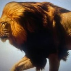 Caught Up - Francis Frazier 1954