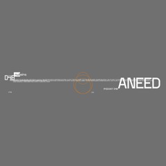 Nulleins Podcast - Aneed [P48]