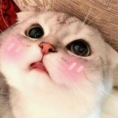 em không là nàng thơ
