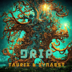 TauriX & Synaest - Drip