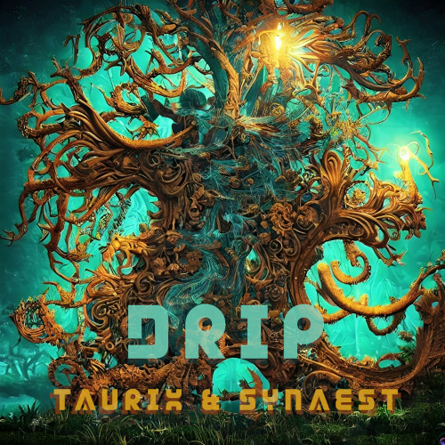 TauriX & Synaest - Drip