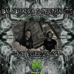 Balabhadra Superphants Artist 420