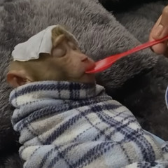 DeeBaby - Pourin Up Dat Raw & Ofcourse, WTF ( Official Music Video )