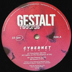 PREMIERE: Cybernet - Druid  [Gestalt Records]