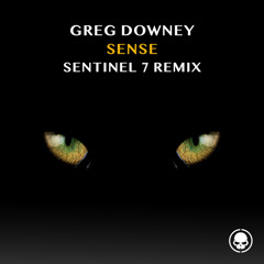 Sense (Sentinel 7 Remix)
