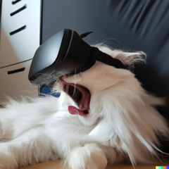 sa sa prova - riky + rageless