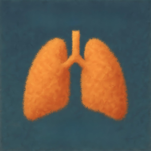 jasmine eye - fuzzy lung