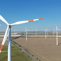 Shadows Whisper My Name