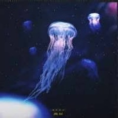 BEGE - NAZAR Remake (Free FLP)