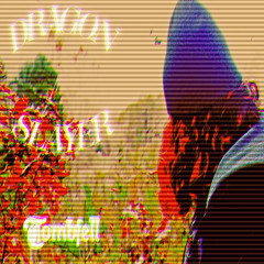 dragon slayer prod. wizardshit