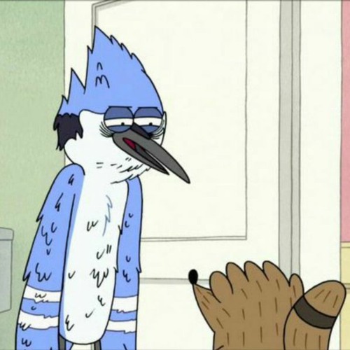 Stream She's Not Coming Back by WHTE RABBT Listen online for free on