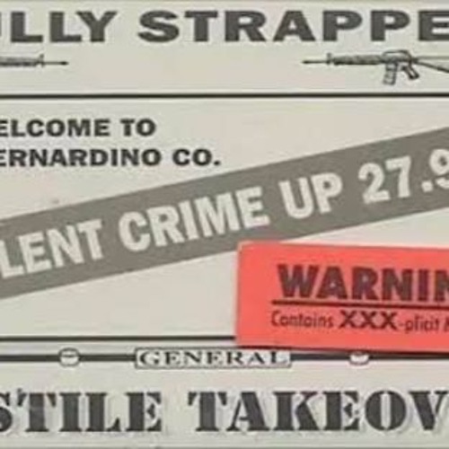 Fully Strapped - Role Models