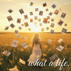 What a Life (Radio Edit)