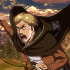 It's Not Real (Vogel im käfig remix)