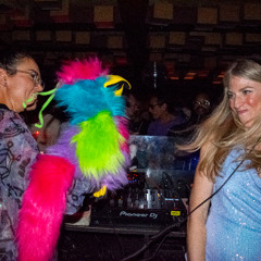 Birds in Paradise at Jolene Sound Room
