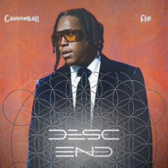 Don Toliver - Cannonball (Descend Flip)
