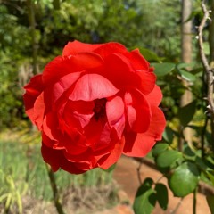 12.06.2022 - DOMINGO - Bem Aventurados os Aflitos