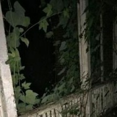 Dream/Weirdcore Playlist