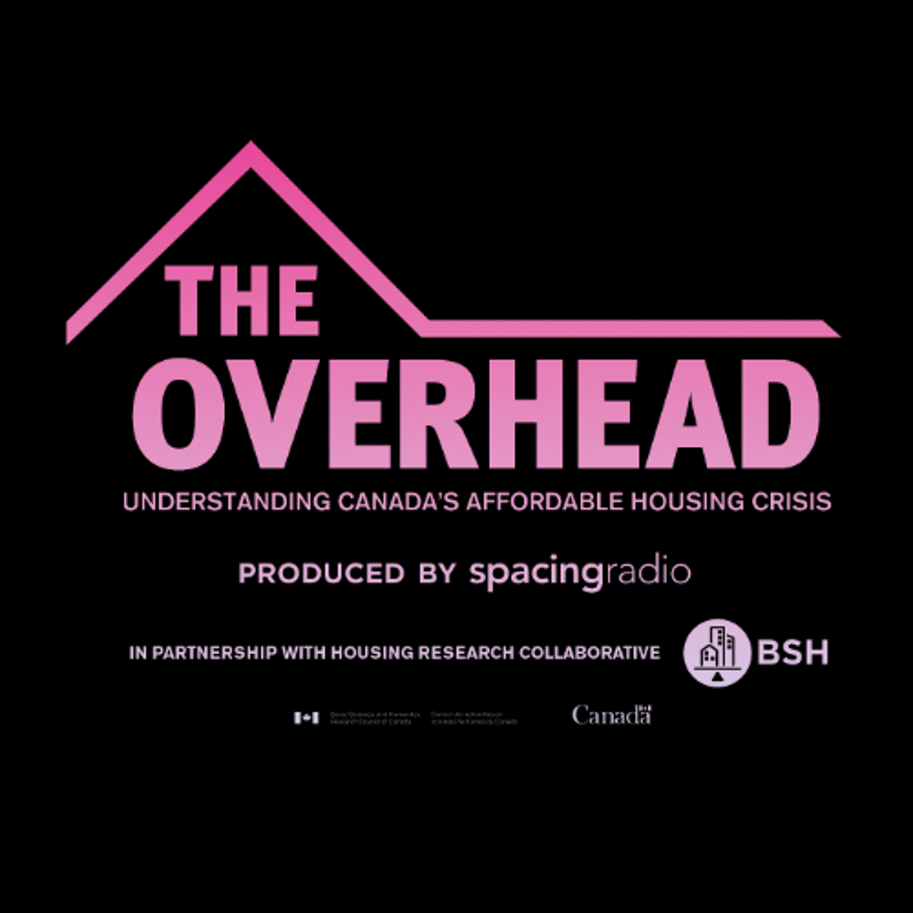The Overhead: When Policy Pauses Public Ownership episode artwork