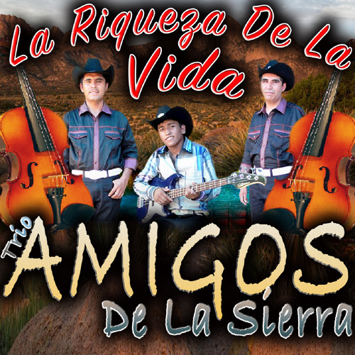 Stream La Dama De Negro by Trio Amigos De La Sierra