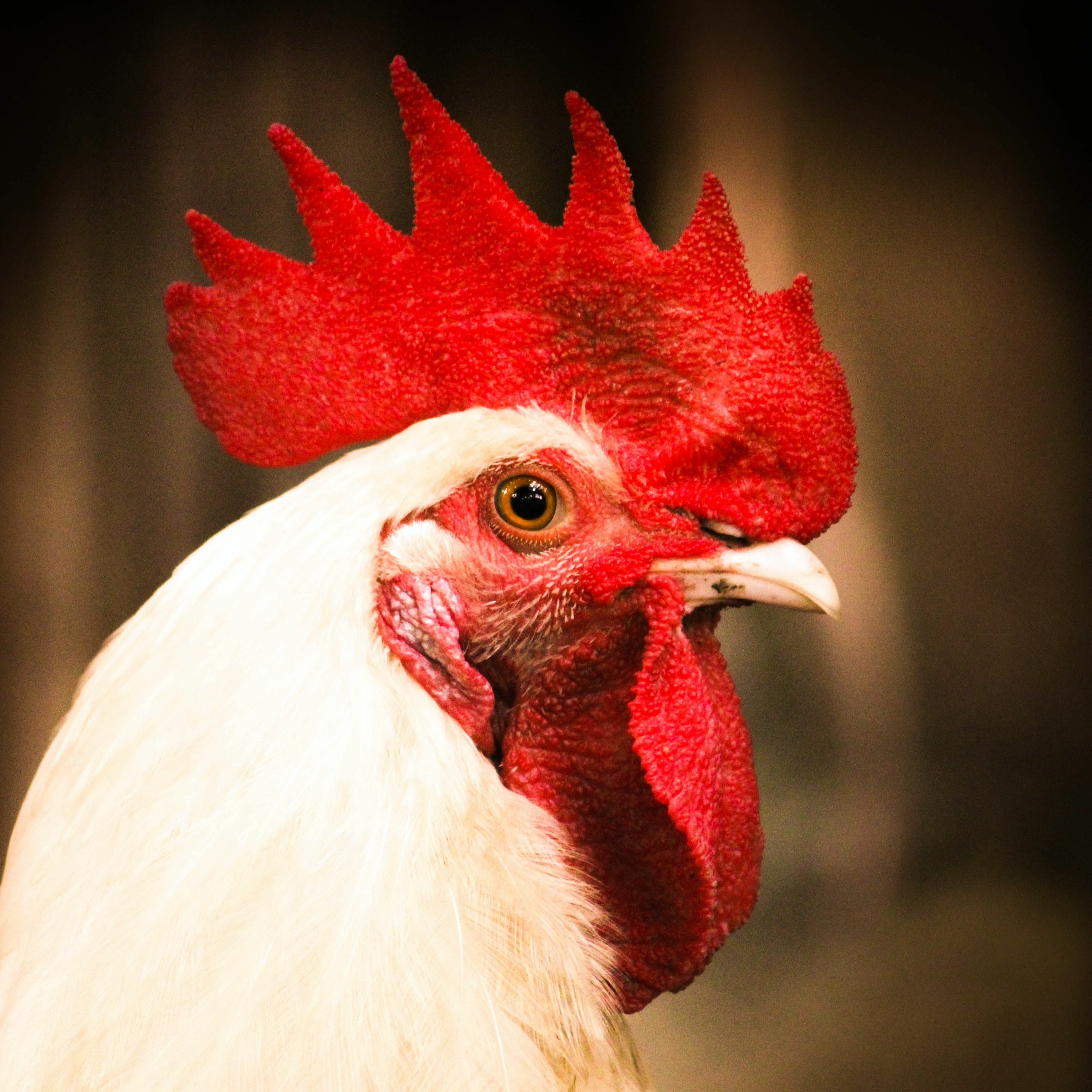 Chick-Fil-A Edge Kubernetes Deep Dive